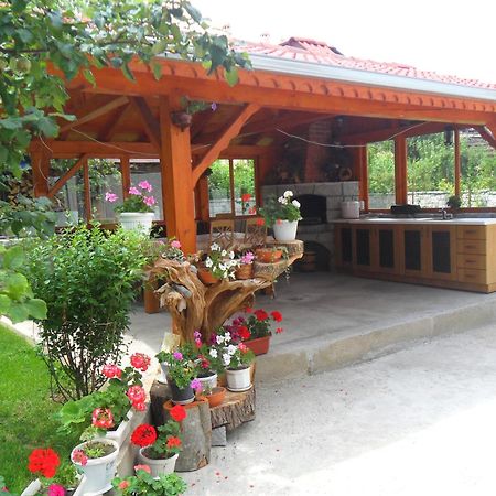 Vien Guest House Μπάνσκο Εξωτερικό φωτογραφία