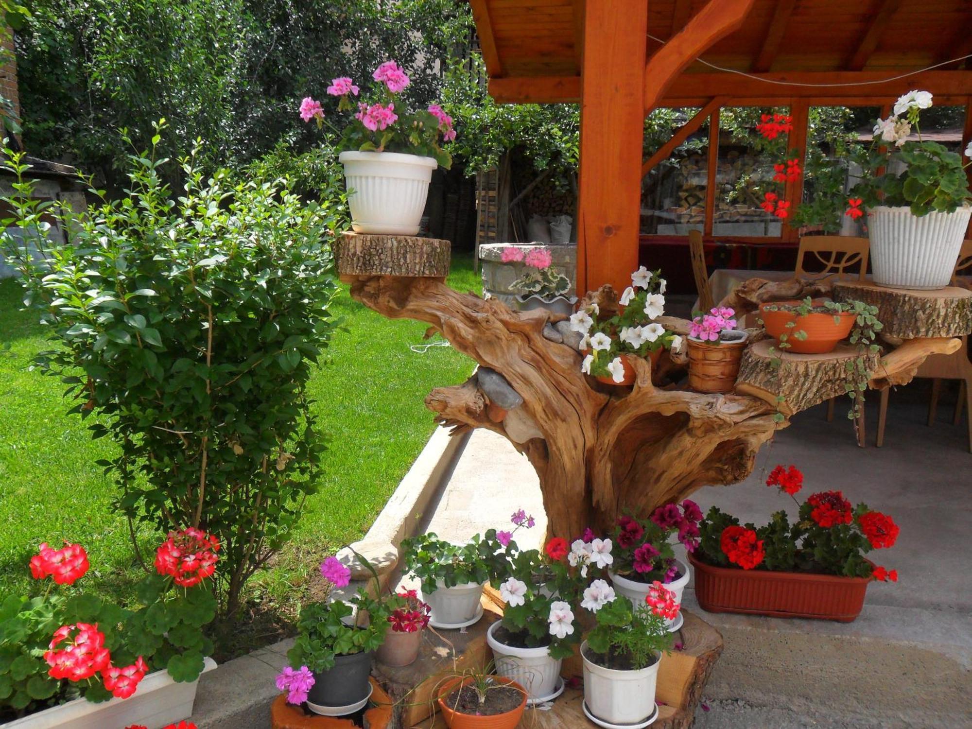 Vien Guest House Μπάνσκο Εξωτερικό φωτογραφία